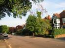 Road with overhanging trees.
Houses behind trees on the right.