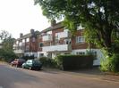 River Court flats.
Hedges and trees.
Cars parked in road.