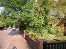 Road with parked cars.
Pavement.
Low garden walls made of brick.
Trees.