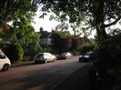 Road with trees and parked cars.
Houses visible through trees on far side.