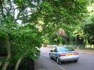 Road with parked car.
Pavement on left has small trees overhanging.
Low wooden fence on right with trees and bushes.