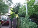 Narrow footpath between fences: the one on the right is overgrown with creeper.
Black wooden gate on left with car and white house beyond.
Public Footpath sign on pole.
House on right visible through tree.