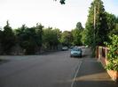 Road with parked cars.
Fence and small trees on the left.
Brick wall with iron panels on the right.
Trees and telephone pole.