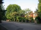 Row of houses built of sandy-coloured brick, set back from road.
Trees in front gardens including large Horse Chestnut.
Low walls and railings along road.