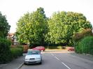 Junction with A4 Bath Road.
Large Horse Chestnut trees on far side of A4 with street light between them.
Hedges each side of Ellington Road.
Give Way sign at junction.
Cars on A4.
Building on left.