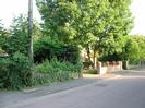 Road and pavement with low walls on far side.
Trees and bushes.
Telephone pole.