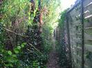 Narrow footpath between hedge and wooden slat fence.