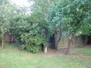 Entrance to narrow footpath.
Trees and fence.
Grass.