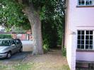 Footpath between large tree and pink-painted house.
Low red-brick building visible across car-park on left.