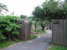 Driveway with high wooden slat fence and gates.
House-name sign for Tall Trees.