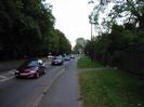 The A4 Bath Road.
Bank of large Horse Chestnut trees on left.
Queue of cars.
Roadsigns and streetlights.
Tarmac pavement and wide grass verge.