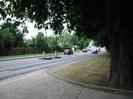 Road and driveway with large overhanging trees.
Pair of traffic islands in middle of road.
