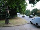 Driveway, grass verge, and road.
Rotting tree in verge.
Estate-agent's SOLD sign.
40 mph speed-limit signs.
Cars on road.