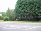 Road with tall conifer trees on the far side.
Houses just visible through trees.