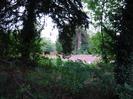 Trees and bushes in foreground.
Brick retaining wall forming the far bank of the Jubilee River.