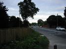 Looking east on the A4 Bath Road.
Grass verge with wooden slat fence and trees on left.
Traffic lights at junction with Berry Hill.
Trees on right.