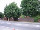 Road with tarmac pavements each side.
Wooden slat fences on far side with Horse Chestnut trees behind them.
White house-name signs for Chelston.
Houses just visible through the trees.
Street-light pole.