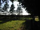 Field with hedge and trees on left.
Footpath with overhanging trees on right.