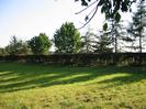 Field with hedge and row of trees beyond.