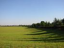 Large grassy field with hedge and trees on right.