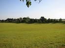 Large grassy field with hedge and trees on right.
Houses visible among the trees.