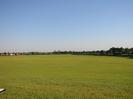 Large grassy field with hedge and trees on right.
Houses visible in the distance.