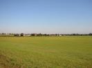 Large grassy field.
Farm buildings and houses visible in the distance.