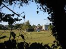 Field and farm buildings seen through gap in trees.
