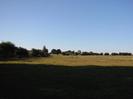 Large field with horses.
Row of small trees on the left