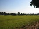 Large grassy field.
Hedge and trees on far side of field, with houses visible on the left.