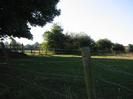 Barbed wire fence with field beyond.
Row of trees along wooden post-and-rail fence.
