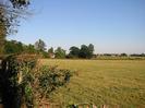 Grassy field with wire fence and hedge on left.
Houses in the distance set among trees.