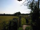 Footpath between hedges.
Grassy field on left.