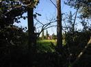 Field and house seen through gap in trees.