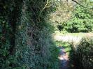 Footpath with trees on left.
Fence and hedge on right.
