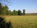 Grassy field with hedge on left.
Trees beyond hedge.
Houses on the horizon.