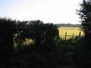 Footpath with hedge and fence on left.
Grassy field beyond fence.