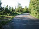 Road with trees and bushes on each side.
Rough verge on left.