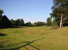 Open field with trees.