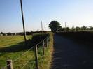 Looking south on Hitcham Road.
Field and barbed-wire fence on left.
Road runs between high hedges, with line of telephone poles.