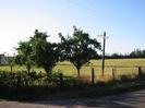 Road with wire fence.
Small trees in fireld beyond.
Post with signs for Poplar Farm and Lea Rigg.
