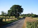 Looking north on Hitcham Road.
Fence and trees on left.
Farm entrance with signs.
Hedge on right.