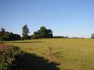 Hedge and open field with trees beyond.