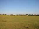 Open field with houses on the horizon.