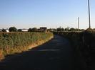 Looking south on Hitcham Road.
High hedges on both sides.
Houses in the distance.