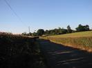 Looking north on Hitcham Road.
High hedges on both sides.