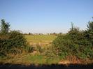 Hedge with old metal gate leading to open field.
Houses in the distance.