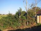 Hedge with 30 MPH sign.
Building on right with tiled roof.