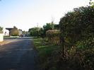 Looking south on Hitcham Road.
Houses in the distance on the left.
Verge and hedge on the right.