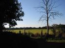 Wire fence with open field beyond.
